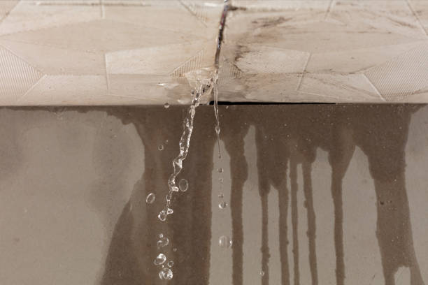 Professional Structural Drying technician working in Wellpinit, WA